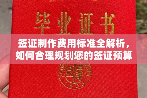 毕节签证制作费用标准全解析，如何合理规划您的签证预算？